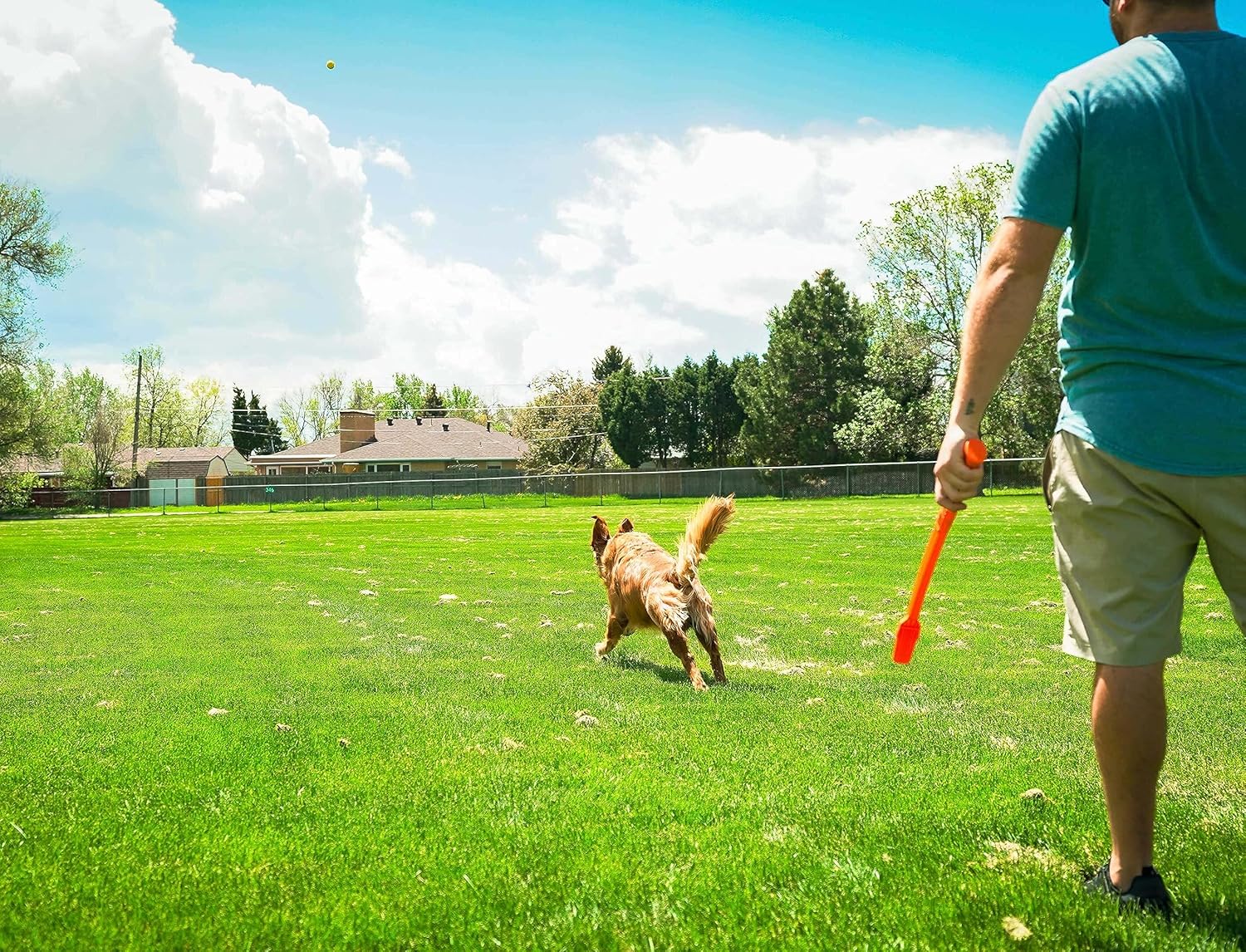 Flingerz Bug Ballistic Throw Toy Ball Launcher for Dogs (Butterfly)
