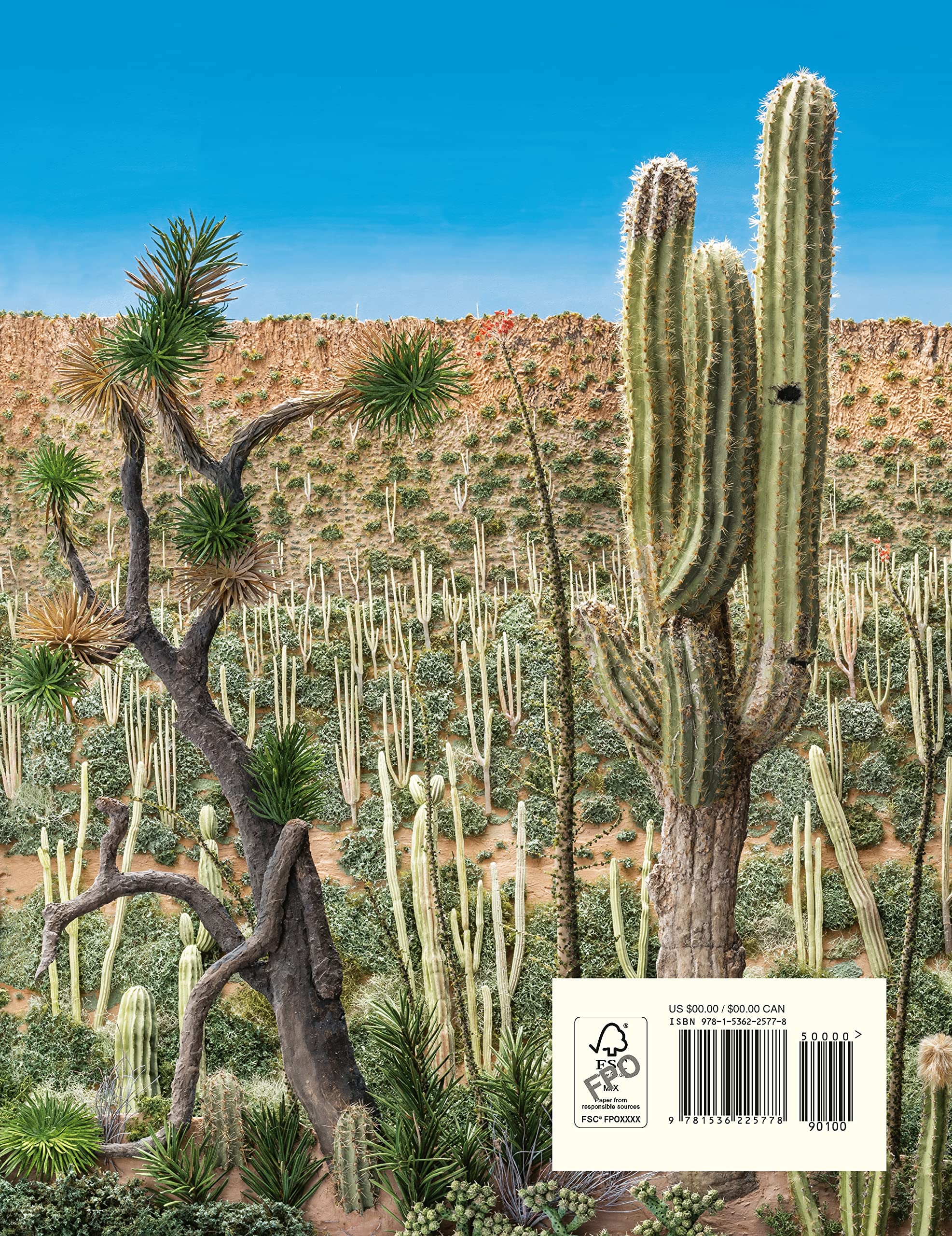 Desert Jungle