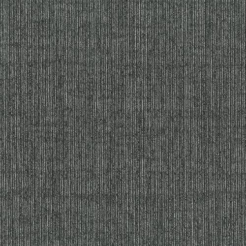 Mohawk Basics - Bereber (pila de bucle), 24 x 24 pulgadas de altura del pelo, baldosa de alfombra, fibra de PET, color carbón, (24 azulejos), (96