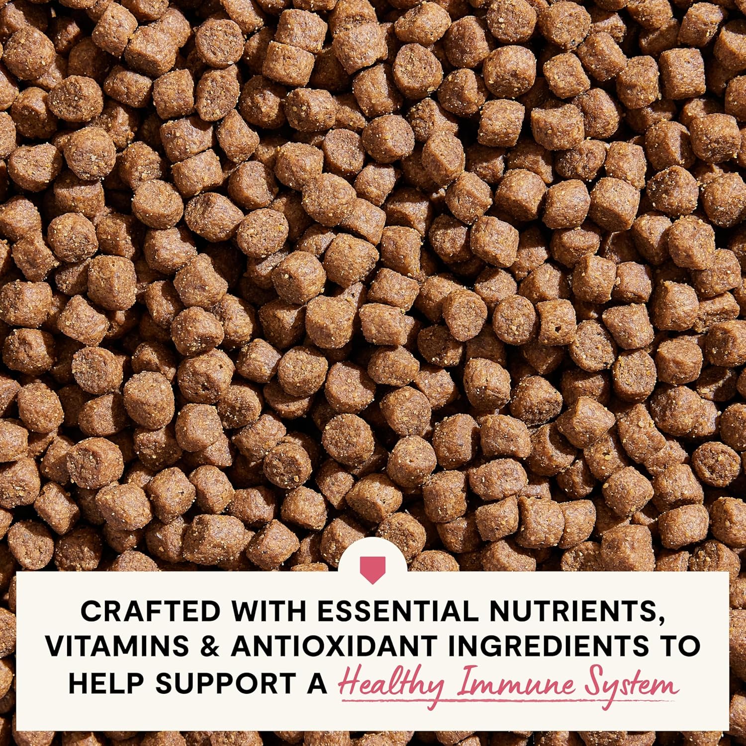 Open Farm, Skin & Coat Health Dog Food, Veterinarian Formulated Kibble with Salmon Oil and Vitamin E to Support Healthy Skin & A Shiny Coat, Wild-Caught Salmon & Oatmeal Recipe, 22lb Bag