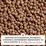 Open Farm, Skin & Coat Health Dog Food, Veterinarian Formulated Kibble with Salmon Oil and Vitamin E to Support Healthy Skin & A Shiny Coat, Wild-Caught Salmon & Oatmeal Recipe, 22lb Bag