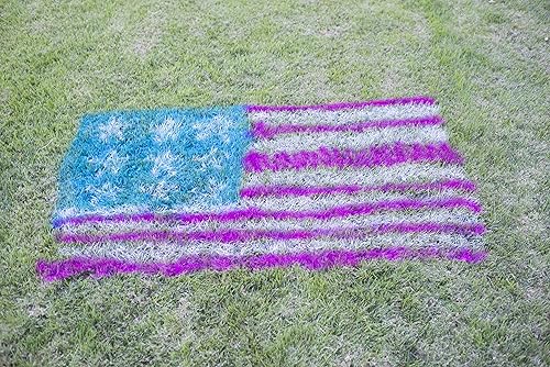 Vista 3 de Testors Spray Chalk