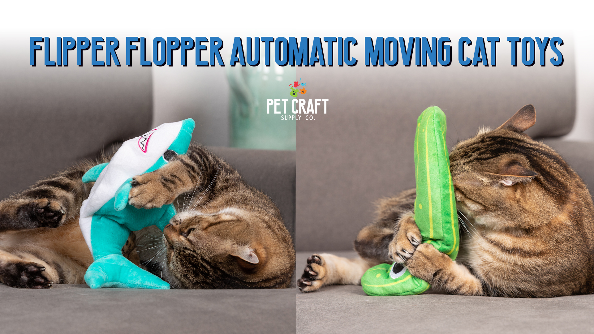 Amazon.com : Pet Craft Supply Wiggle Pickle and Shimmy Shark