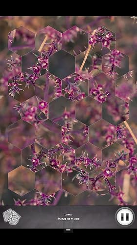 Hidden Scenes - Fall in the High Desert – vue 4