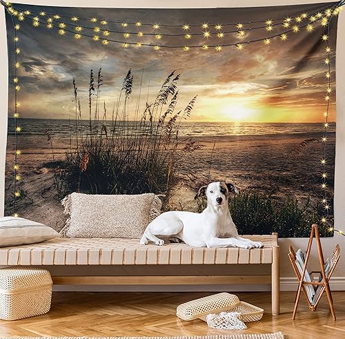 Miniatura 8 de Ambesonne Tapiz de playa, escena costera tranquila con horizonte en medio de la nada nublado puesta de sol imagen del océano, colgante de pared