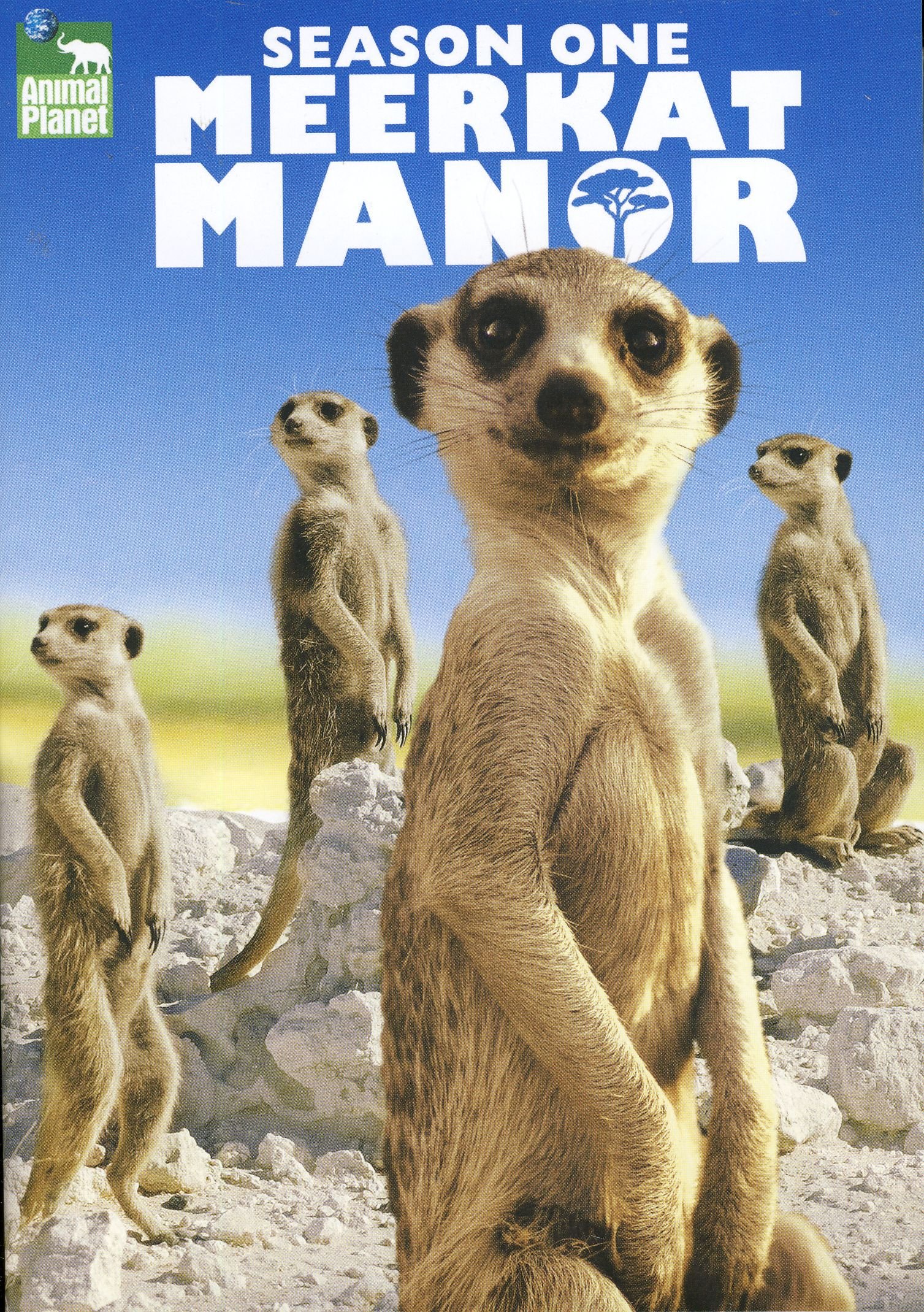 Meerkat Manor - Season 1 [Import] [DVD]