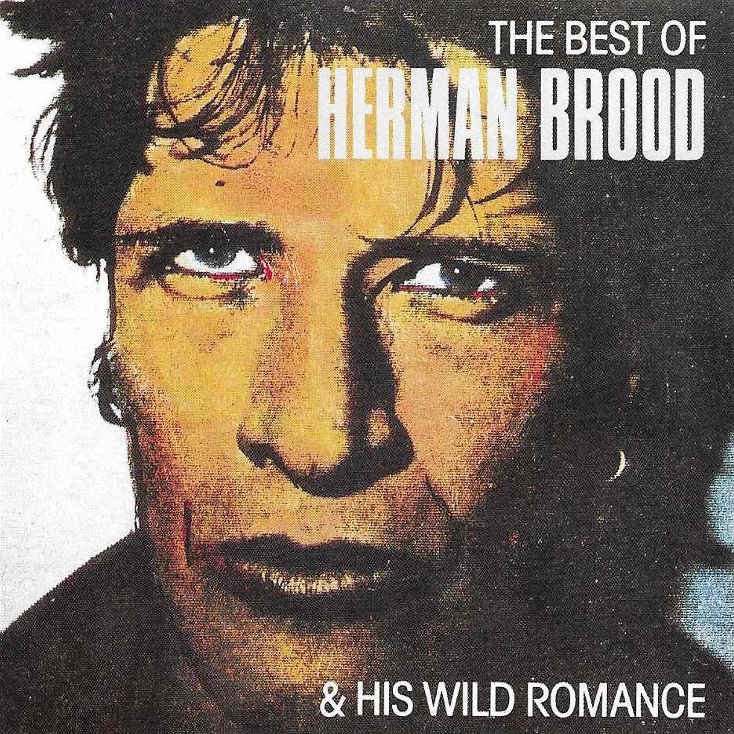 Herman Brood & His Wild Romance