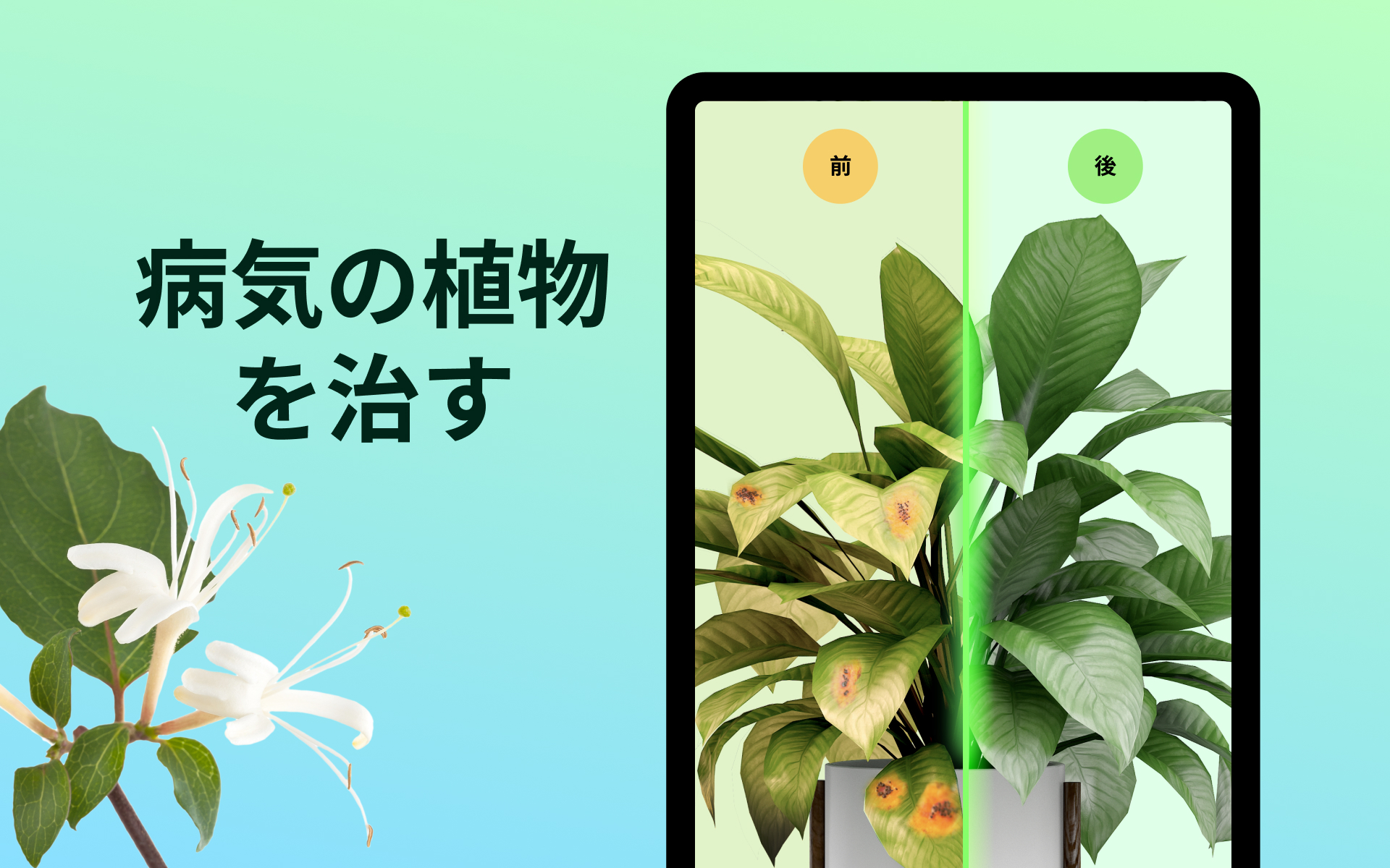 きよら様　確認用ページ　ピクチャーデイズも在庫あれば追加予定 きよら様 確認用ページ ピクチャーデイズも在庫あれば追加予定 Z/X(