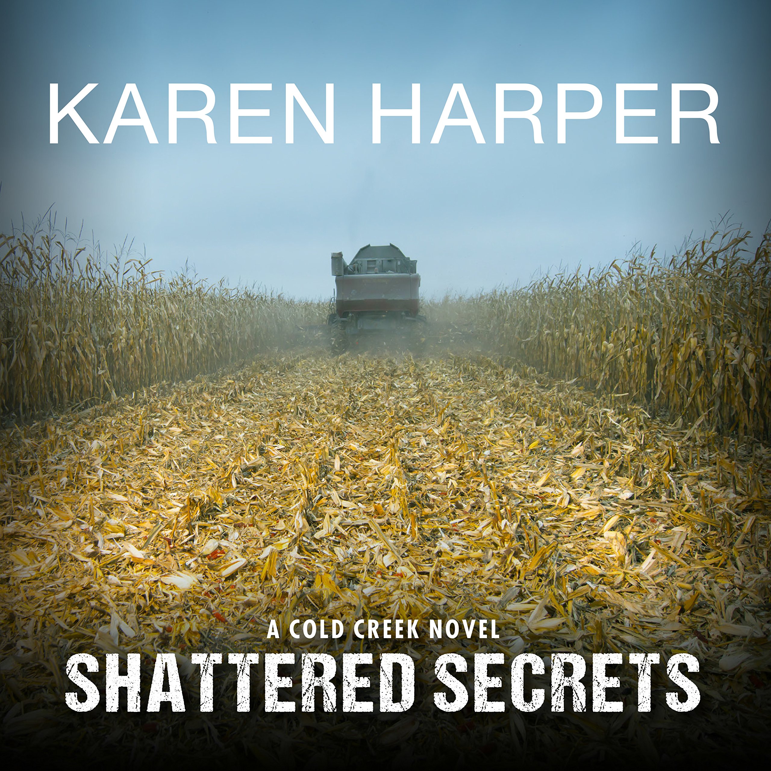 Cover art for Shattered Secrets