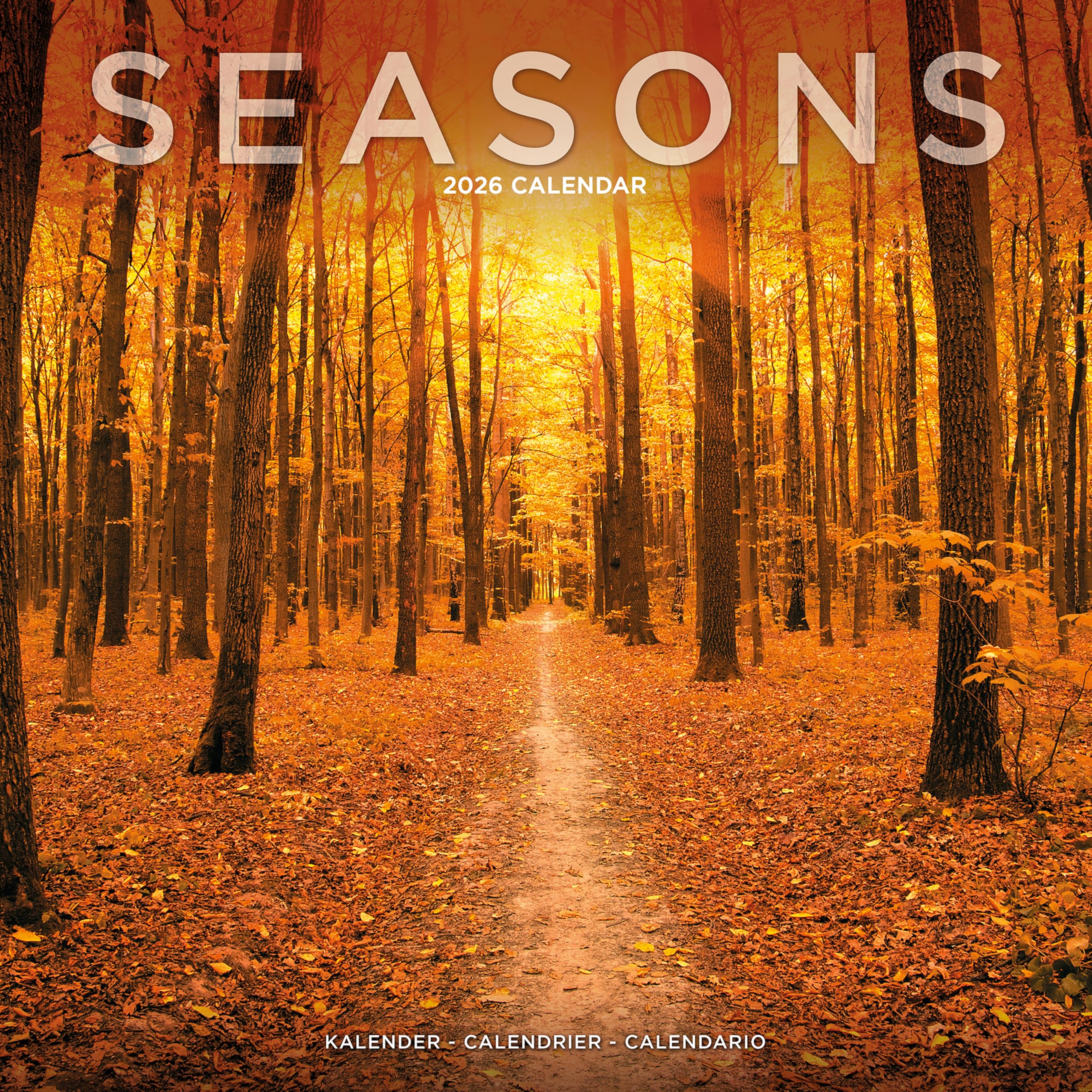 Seasons 2026 Calendar | Square Wall Calendar | Travel & Nature Gift | Plastic Free Packaging | by Avonside Publishing