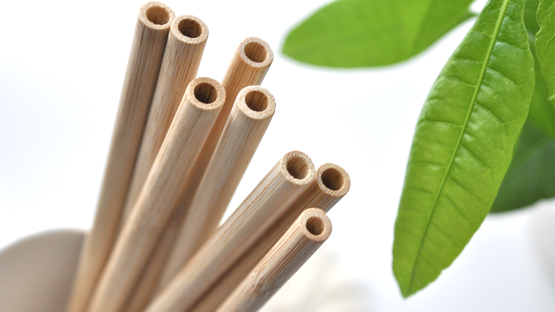 100 pitillos de bambú DS Reed biodegradables 7.8 pulgadas miniatura 7