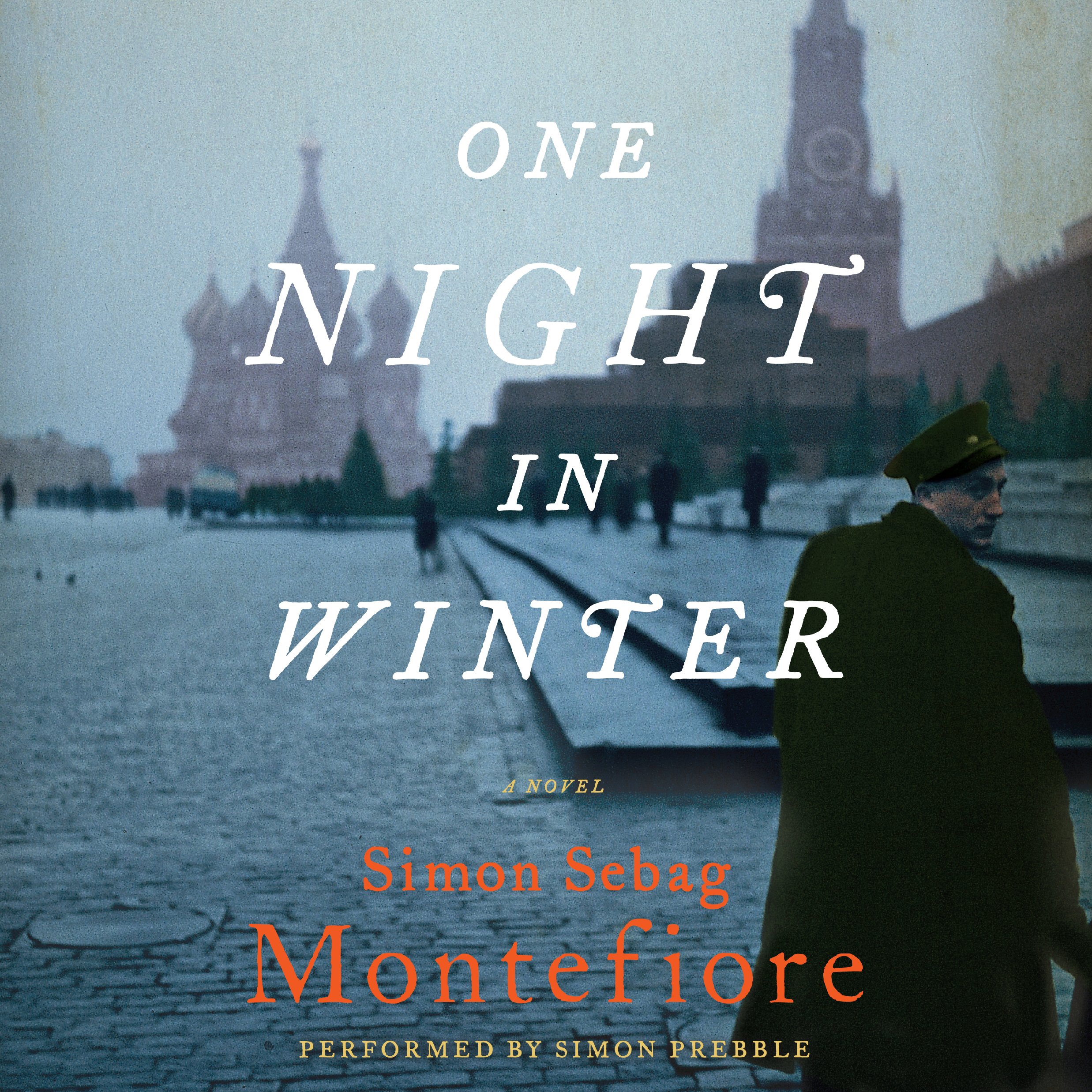 Cover art for One Night in Winter