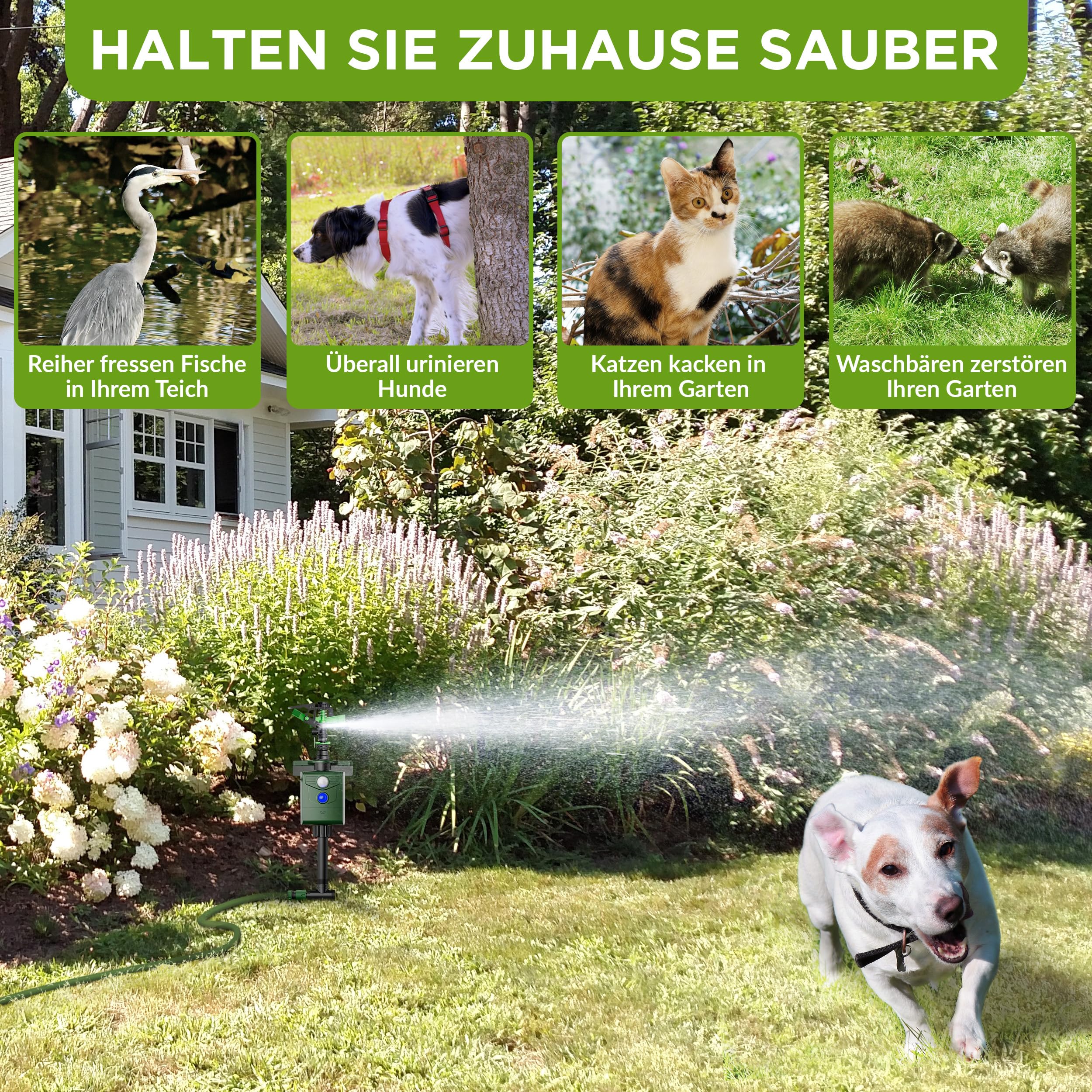 ISOTRONIC® Wasserstrahl Plus Licht Tiervertreiber Solar | Solarbetriebene Hunde-Katzen-Abwehr | Vogel-Reiher-Schreck für Garten | Bewegungsmelder I Reichweite einstellbar I Wildtierabwehr (2)
