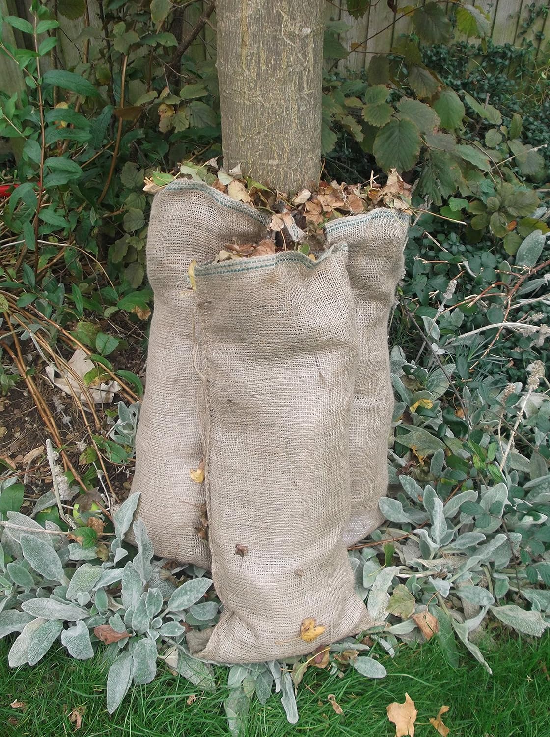 15x Large Natural jute compostable leaf sacks for composting leaves