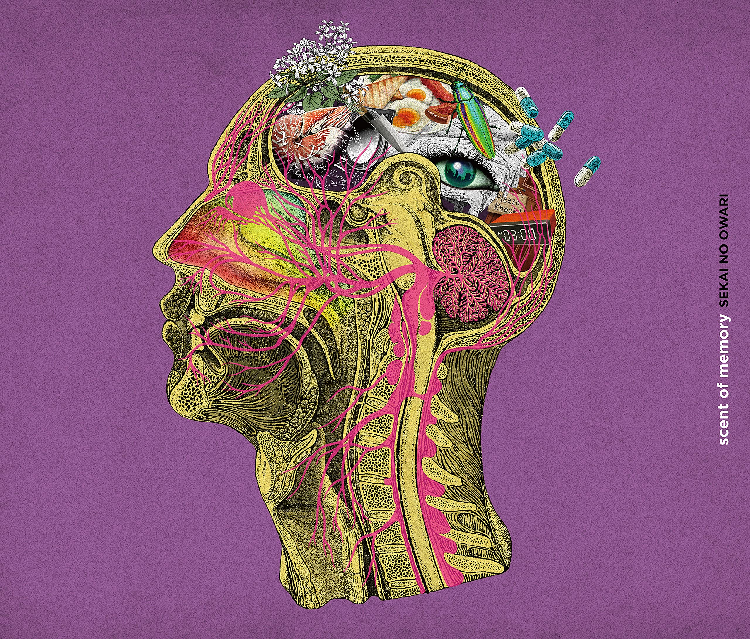 Amazon.co.jp: scent of memory (初回限定盤)(2CD+DVD): ミュージック