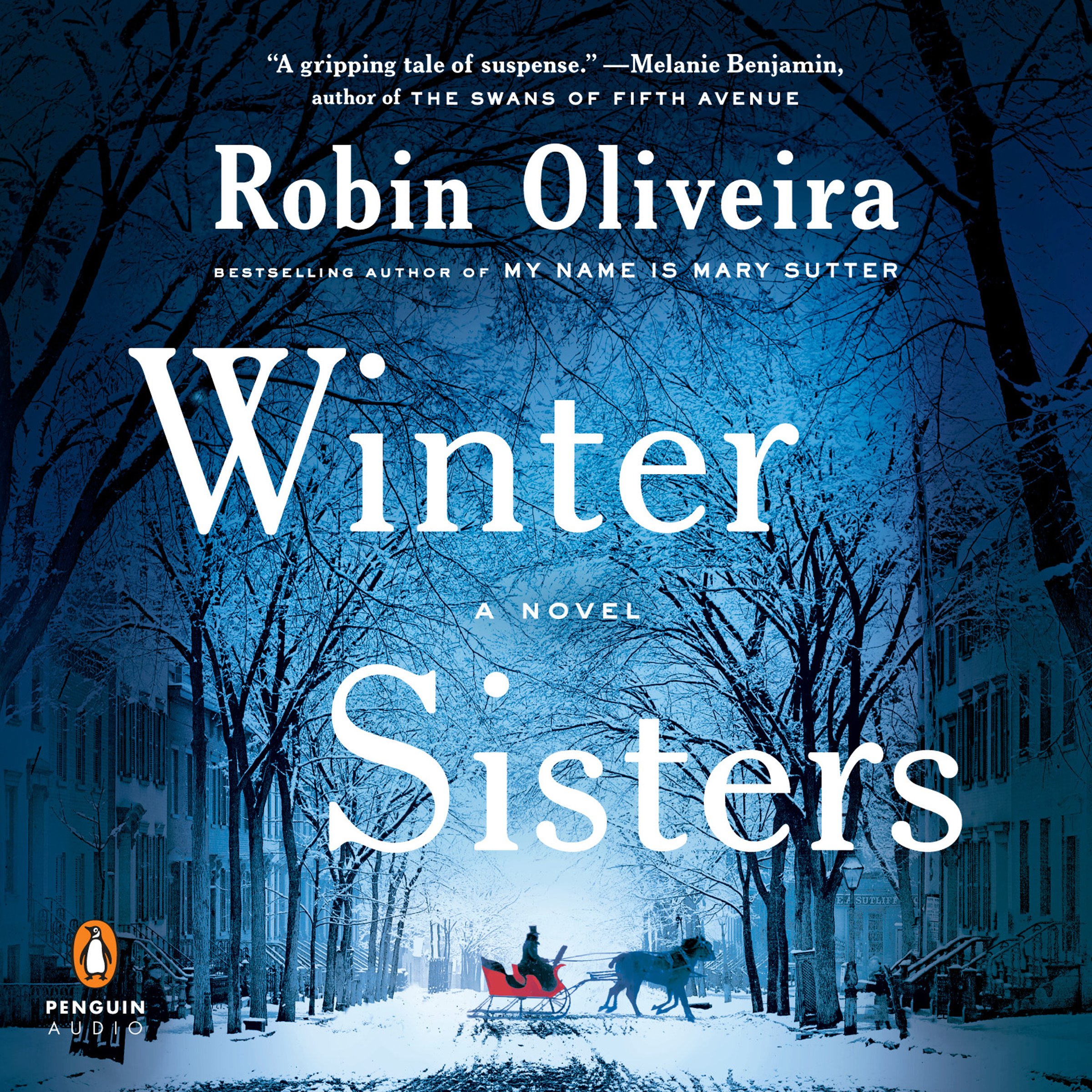 Cover art for Winter Sisters