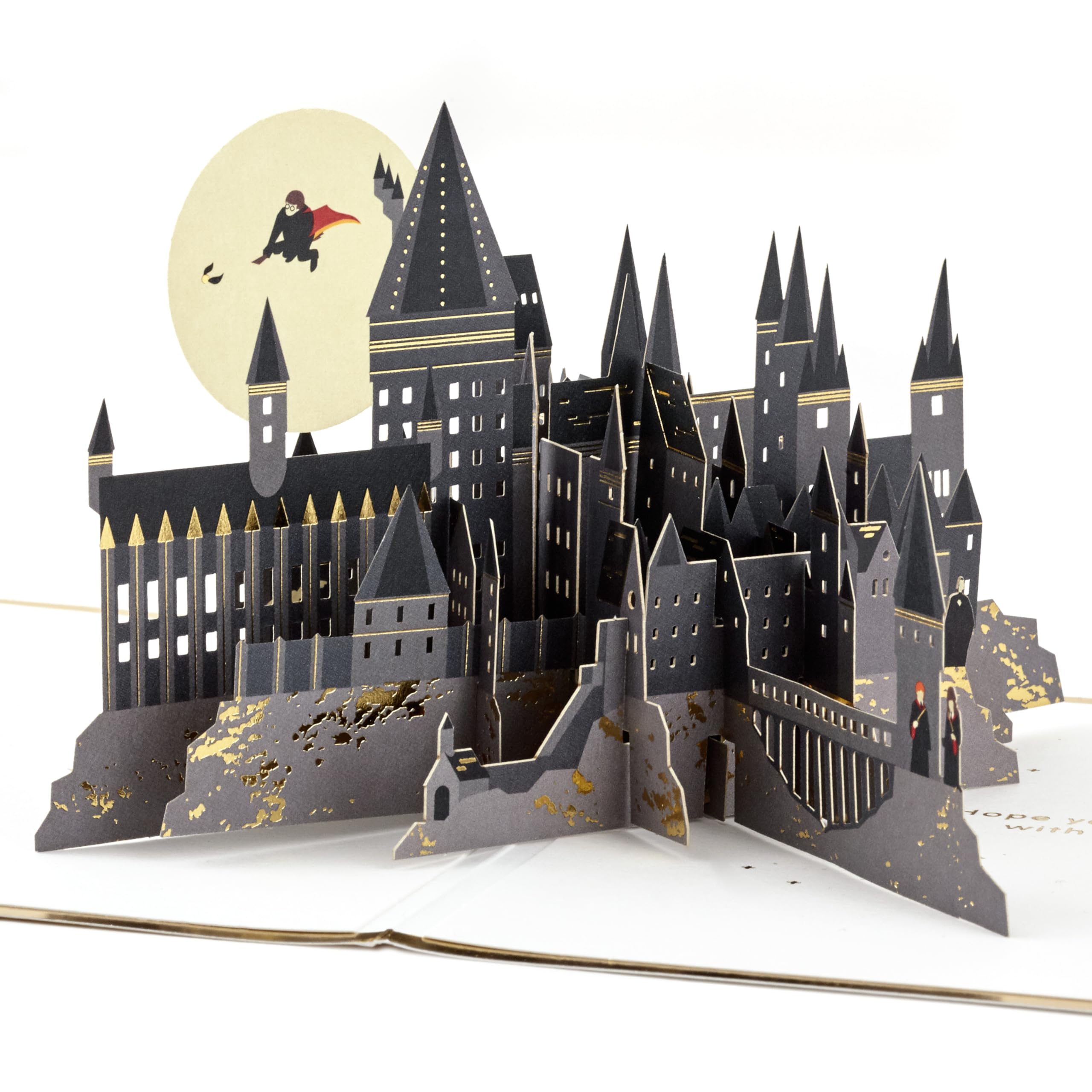 Hallmark Harry Potter, karta 3D i pop-up na każdą okazję, złoty znicz, miotła, urodziny, Dzień Ojca, Boże Narodzenie, córka, syn, wnuczka, wnuk, świat czarodziejów, złota