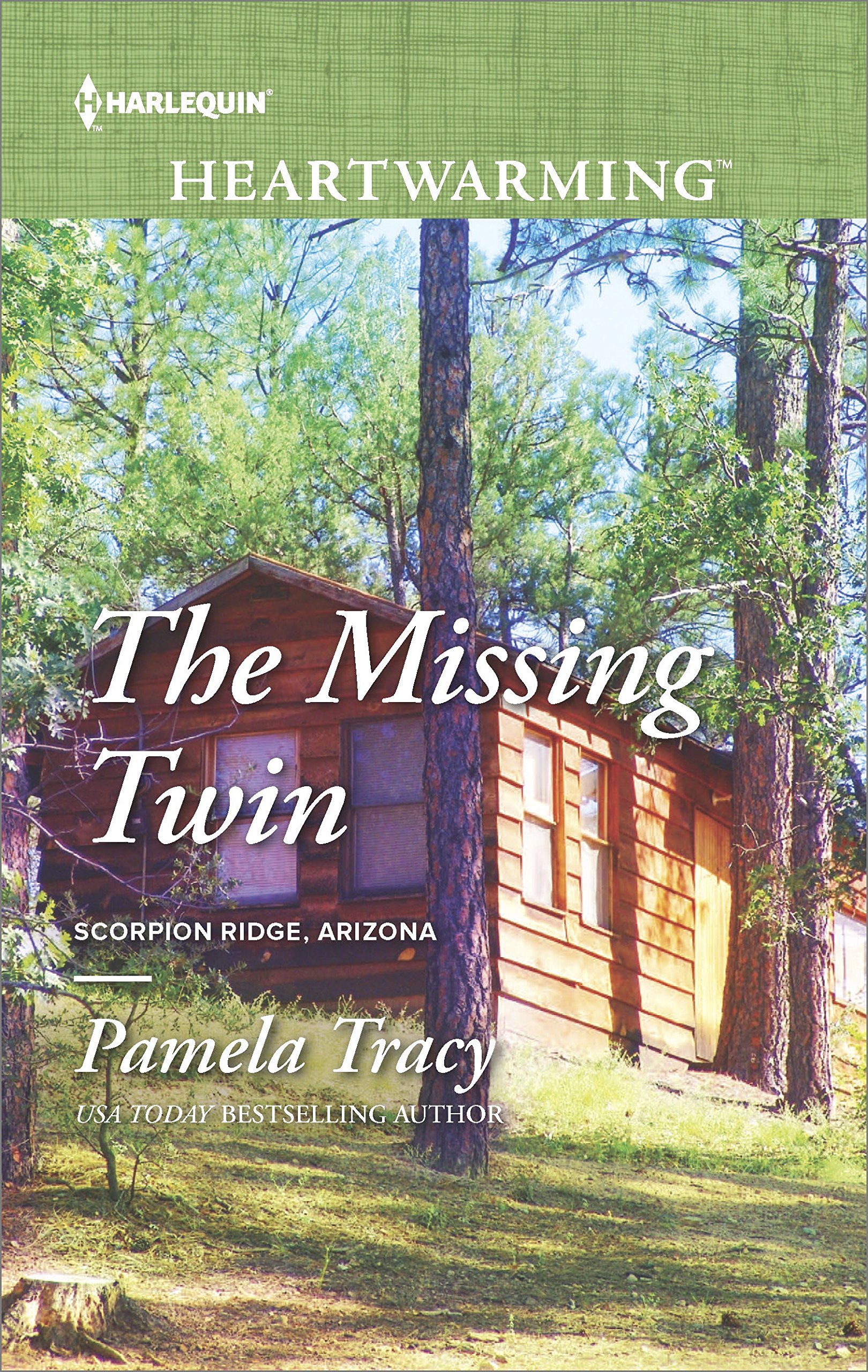 Buy The Missing Twin: A Clean Romance – A Thrilling Contemporary Mystery of Twins and Secrets (Scorpion Ridge, Arizona Book 5) — BookShops.in