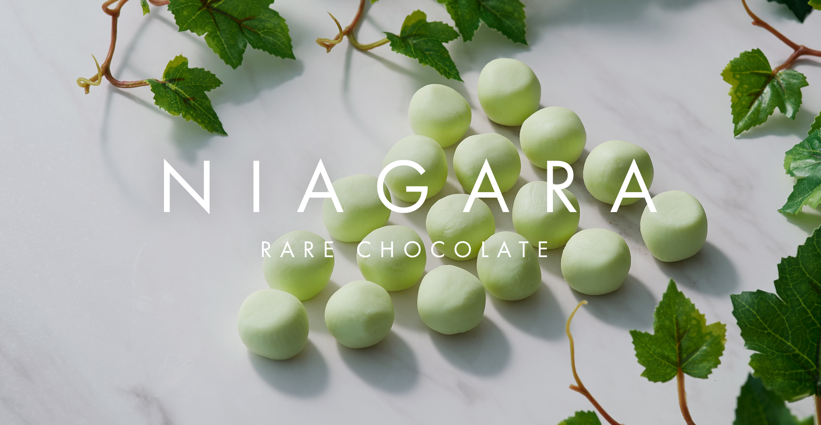 Amazon.co.jp: 【LeTAO】Rare Chocolate Niagara 1 Box Raw Chocolate