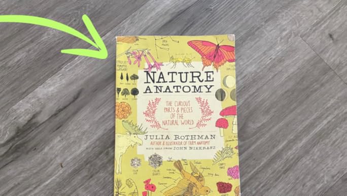 洋書 The Julia Rothman Collection The Julia Rothman Collection: Farm Anatomy, Nature Anatomy