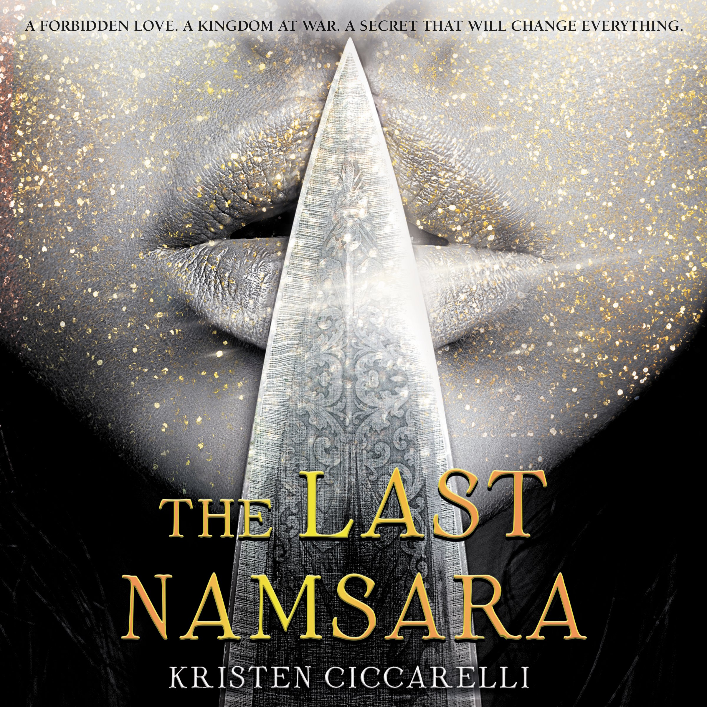 Cover art for The Last Namsara