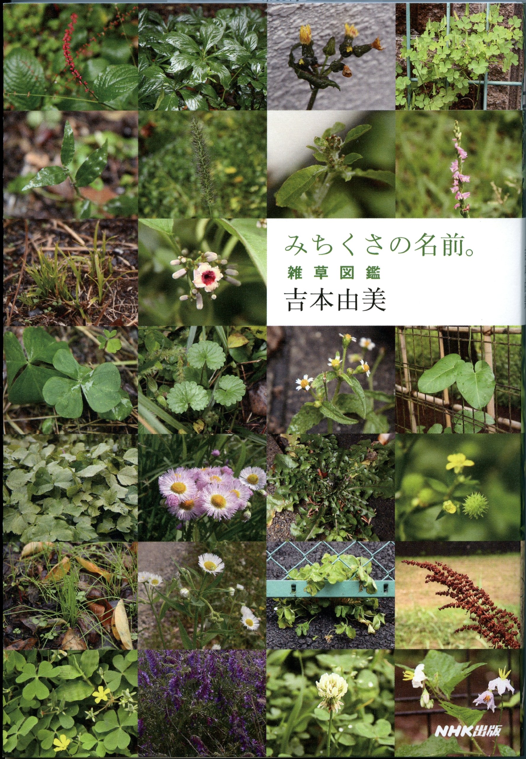 みちくさの名前 雑草図鑑 吉本 由美 本 通販 Amazon みちくさの名前 雑草図鑑 吉本 由美 本 通販 Amazon