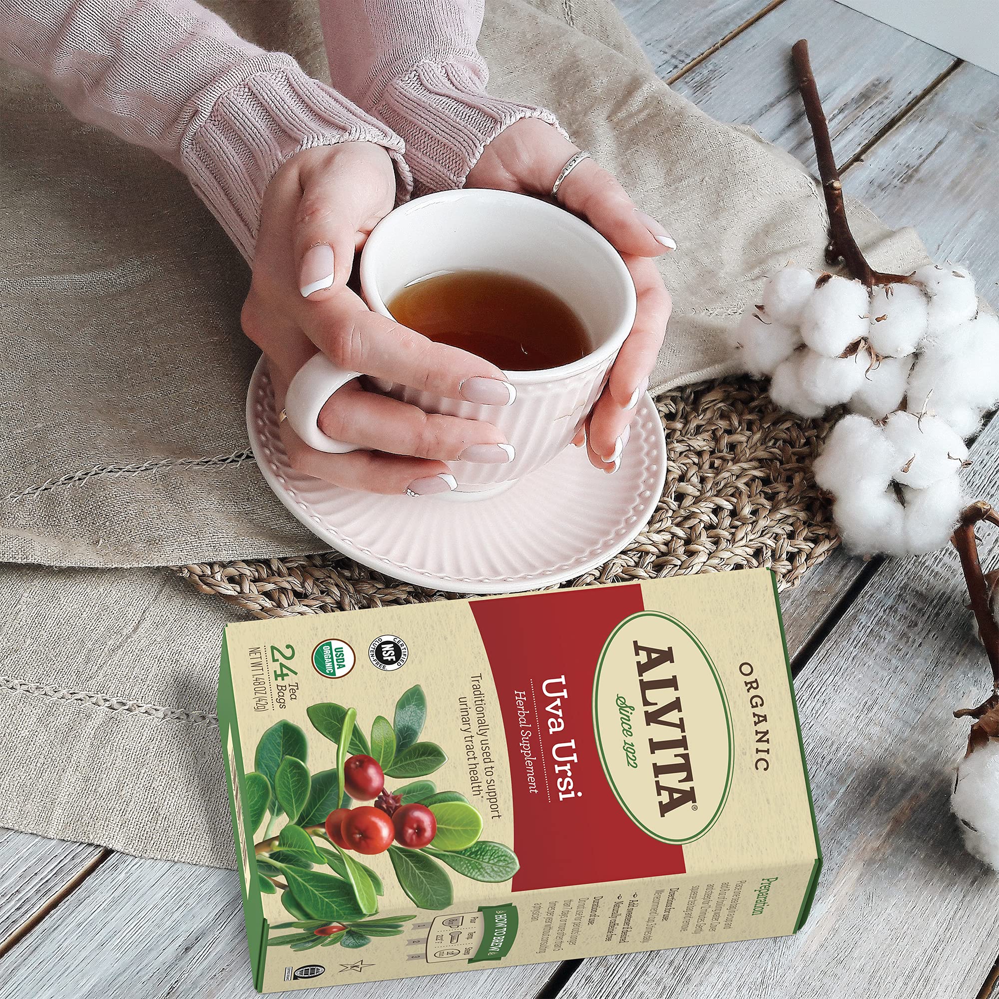 Alvita Organic Uva Ursi Herbal Tea Made with Premium Quality Organic