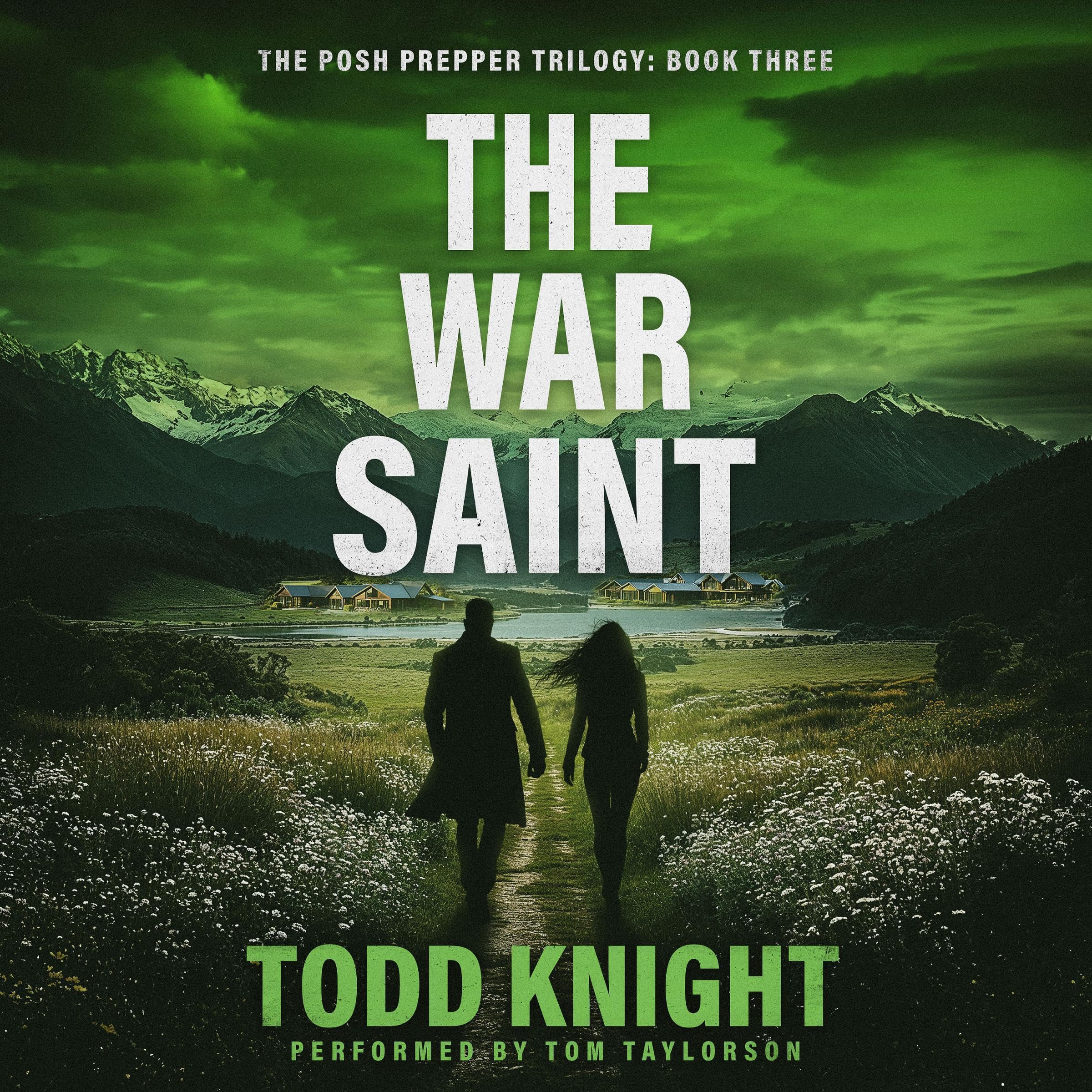 Cover art for The War Saint
