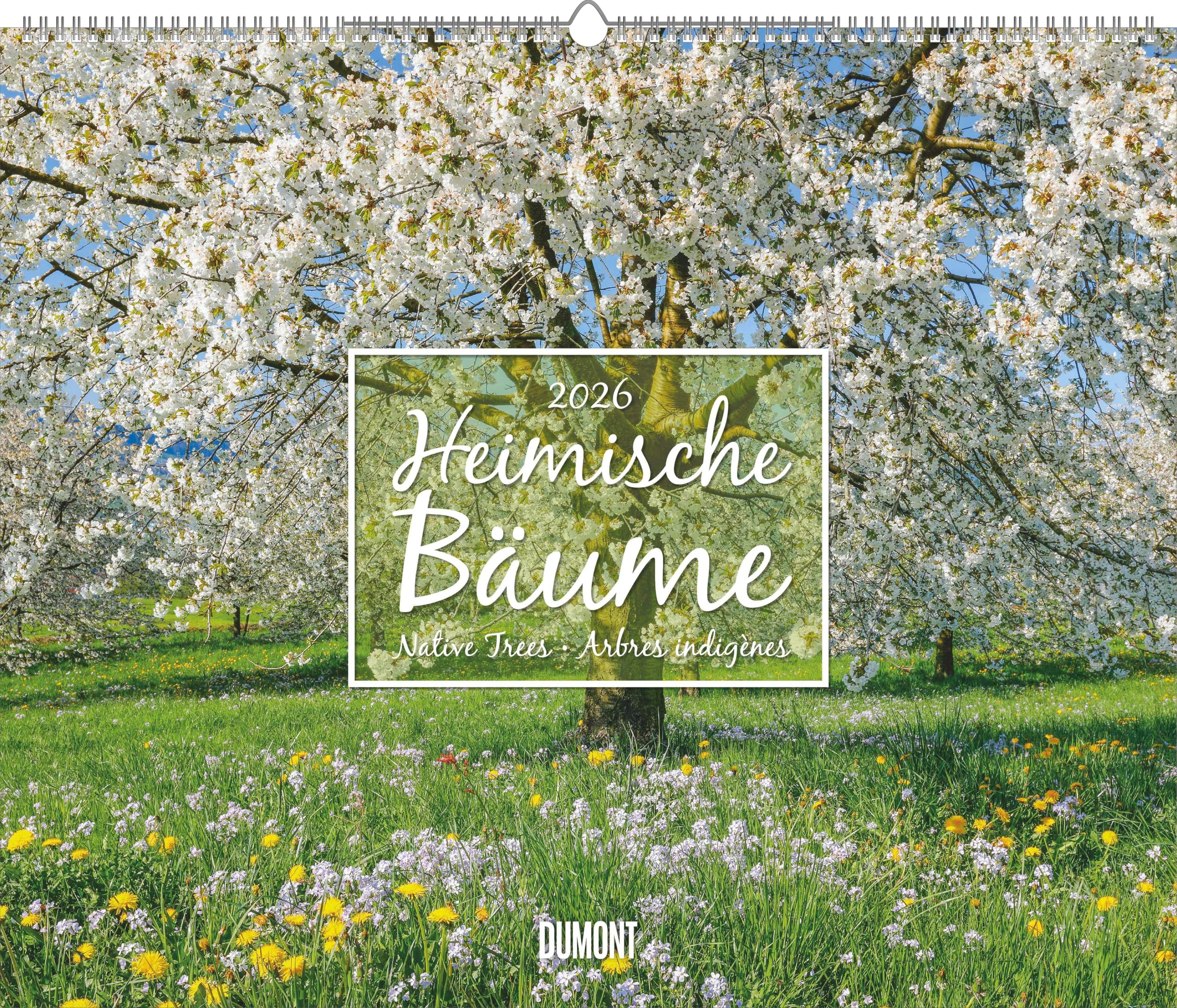 Heimische Bäume 2026 - Wandkalender 60x50 cm - Spiralbindung: Native Trees, Arbres indigènes