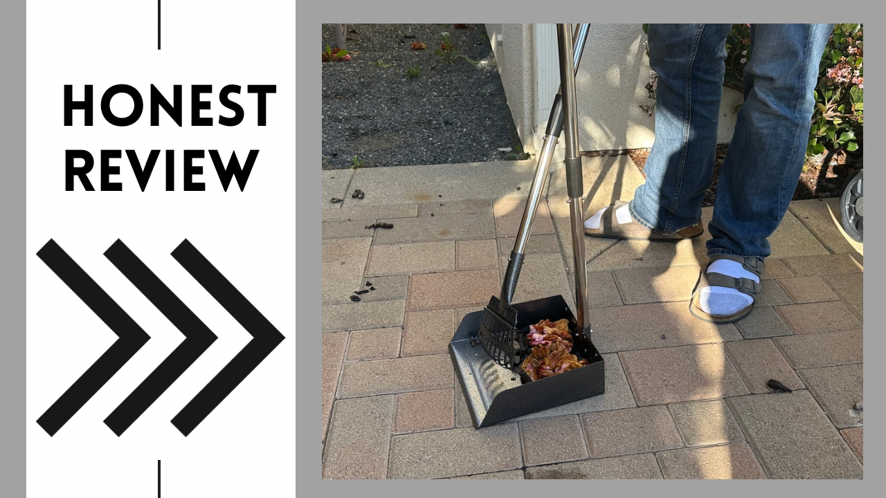 Metal Poop Watch See this extra wide metal dog poop scooper do the job! on Amazon Live