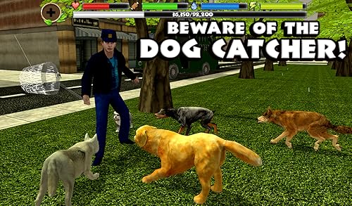 Stray Dog Simulator