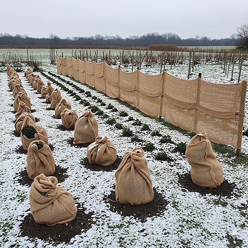 Vista 34 de 48 pulgadas x 15 pies en total 60 forros de arpillera para jardín, tejido suelto de yute para cama elevada, semilla de cobertura, mantillo y manta