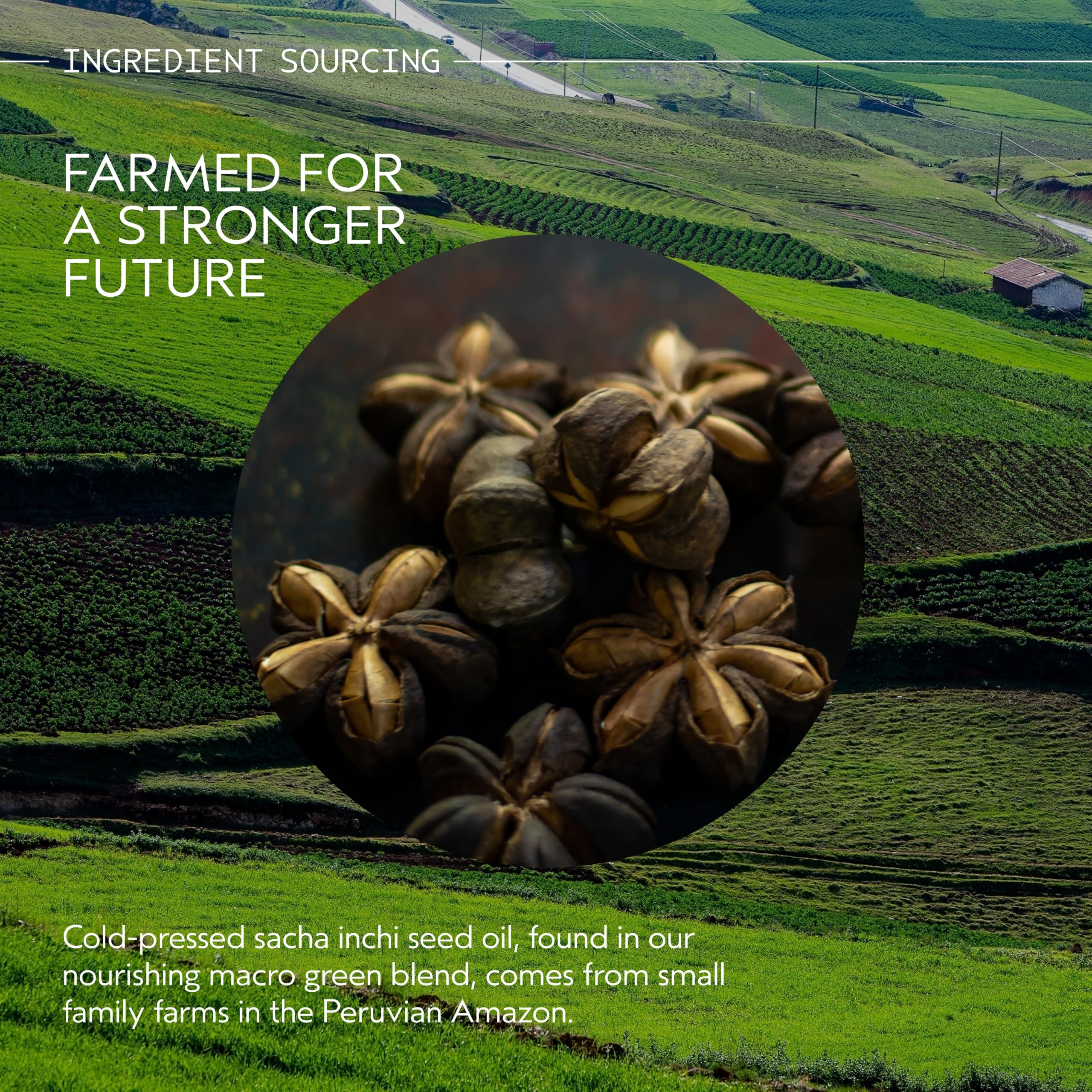 Aveda Botanical Repair Strengthening Leave-In Hair Treatment