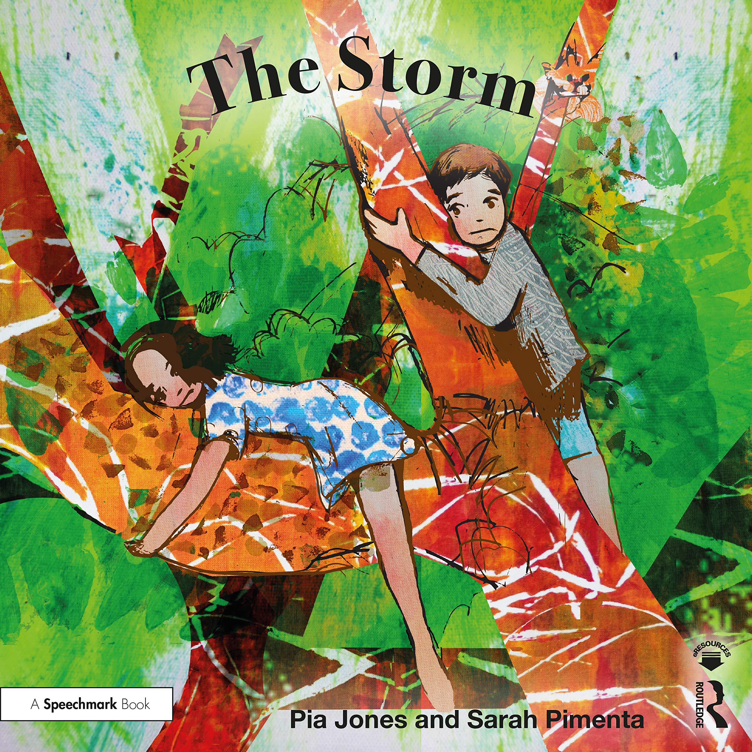 The Storm: For Children Growing Through Parents' Separation: 1... - Jones, Pia