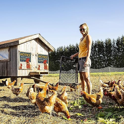 Miniatura 6 de Chicken Coop Signs funny chicken signs Keep Gate Closed No Matter What The Chickens Say chicken coop decor outdoor chicken coop ideas chicken coop