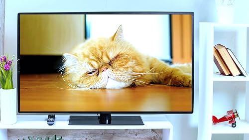 Relaxing Sleep Music for Cats - Calming Ambience Screensaver For Tablets And Fire TV – vue 5