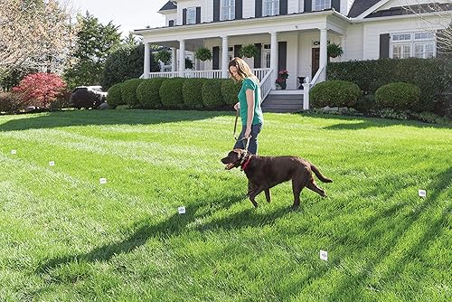 Miniatura 7 de PetSafe Banderas de límite (paquete de 50), para uso con cercas de tierra para perros y gatos de PetSafe y cercas inalámbricas – De la empresa