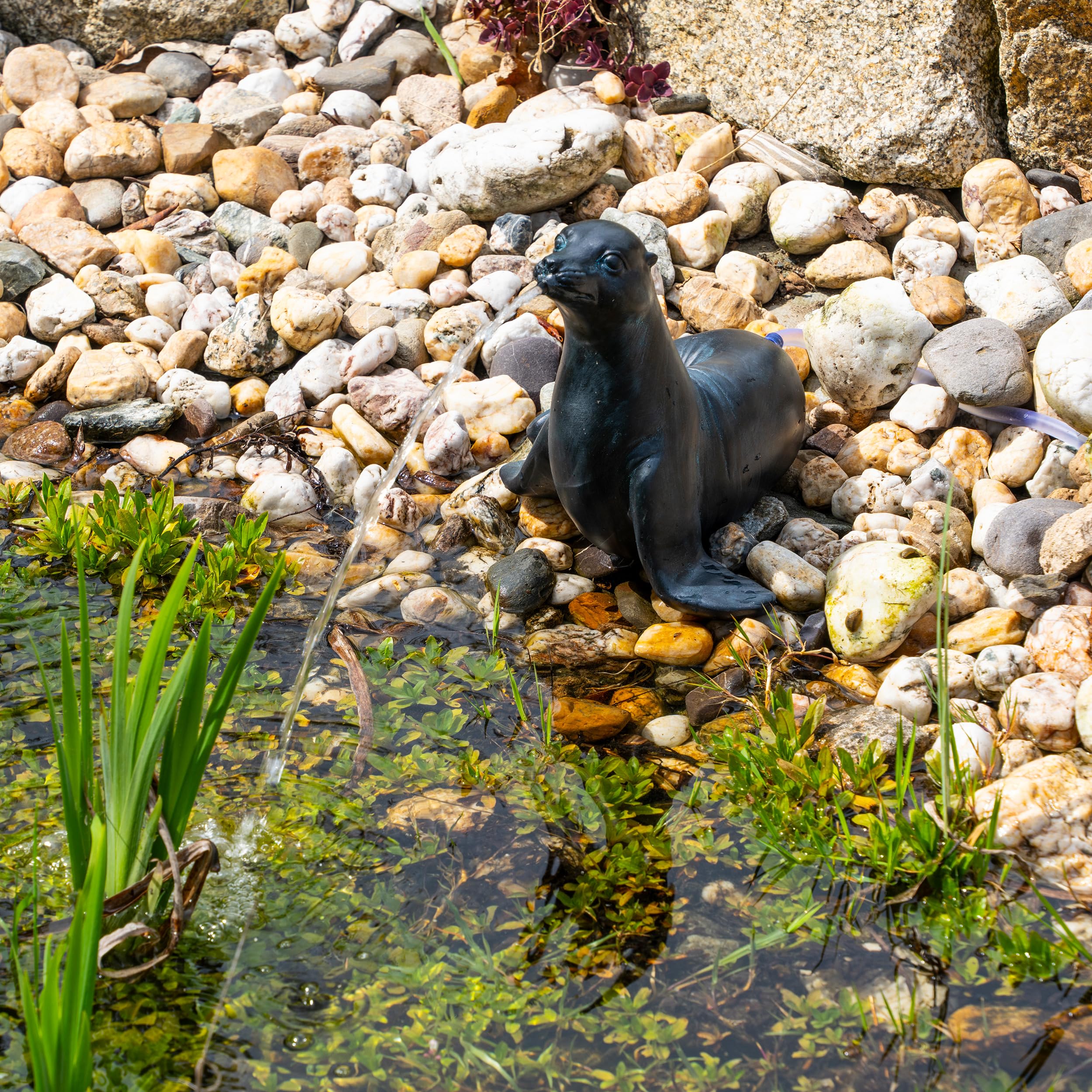 Esotec Solar Wasserspeier Komplettset, Seehund Figur Sammy, Gartenteich Wasserspiel, Vogeltränke, Vogelbad, Gartenbrunnen mit Solarpumpe, 2 Schläuche, H=25cm 101676