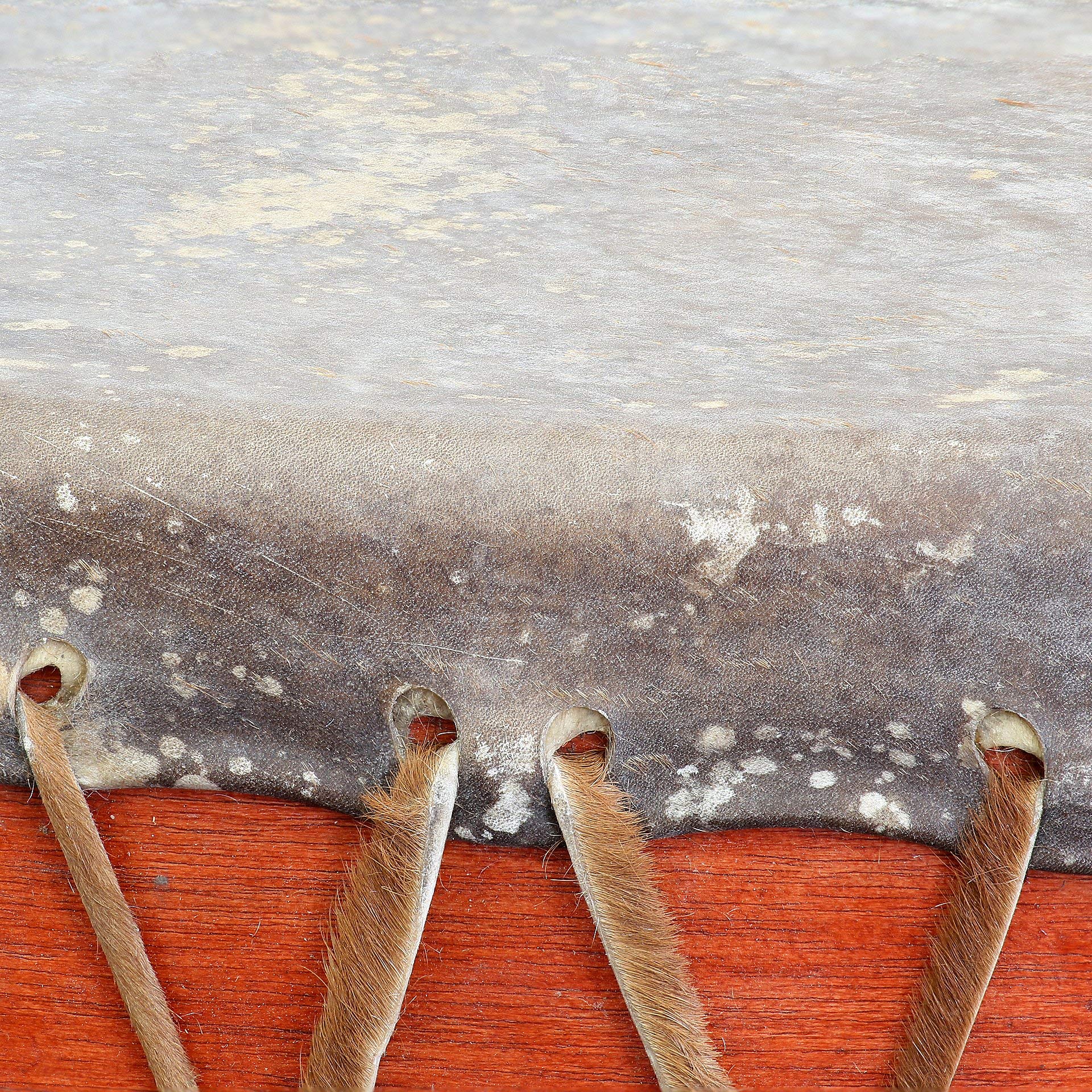 Motherdrum 100cm inklusive Ständer - im MYSEVENDO Set - Riesentrommel Thunderdrum Bigdrum Gemeinschaftstrommel Percussion Weltmusik Instrument Healing
