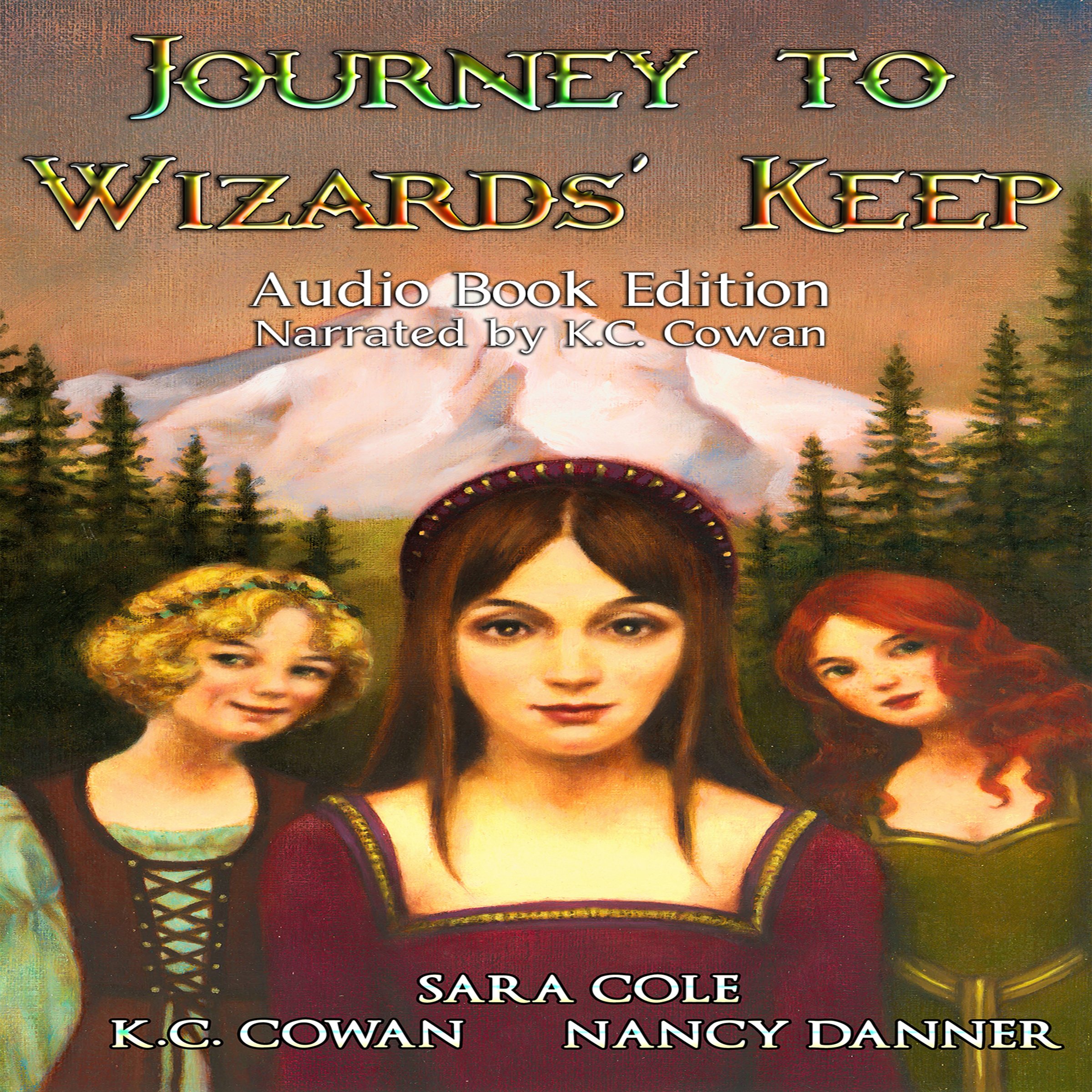 Cover art for Journey to Wizards' Keep