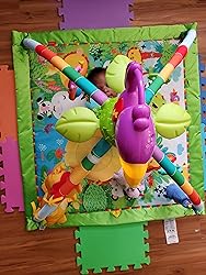 Melodies And Fisher-Price Rainforest Music And Lights Deluxe Gym