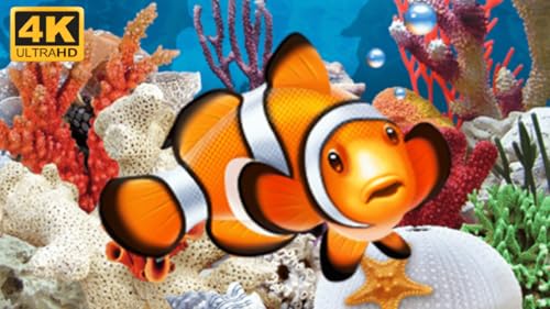 Aquarium screensaver 4k