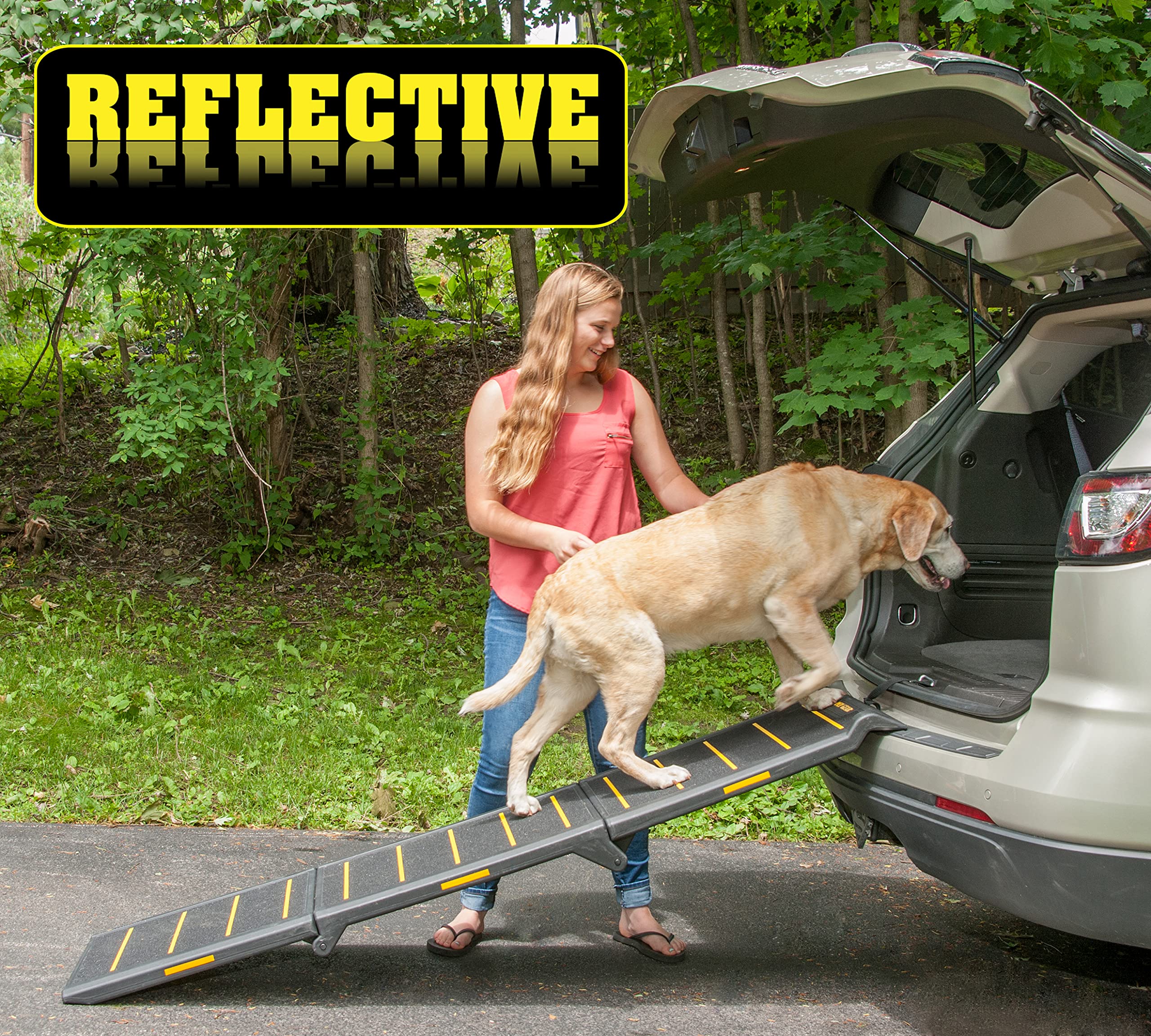 dog car ramp petsmart