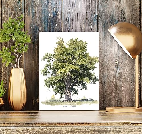 Miniatura 2 de Póster de fresno negro para decoración de pared, impresión de decoración nórdica de casa de campo familiar, bosque de árbol verde, naturaleza,