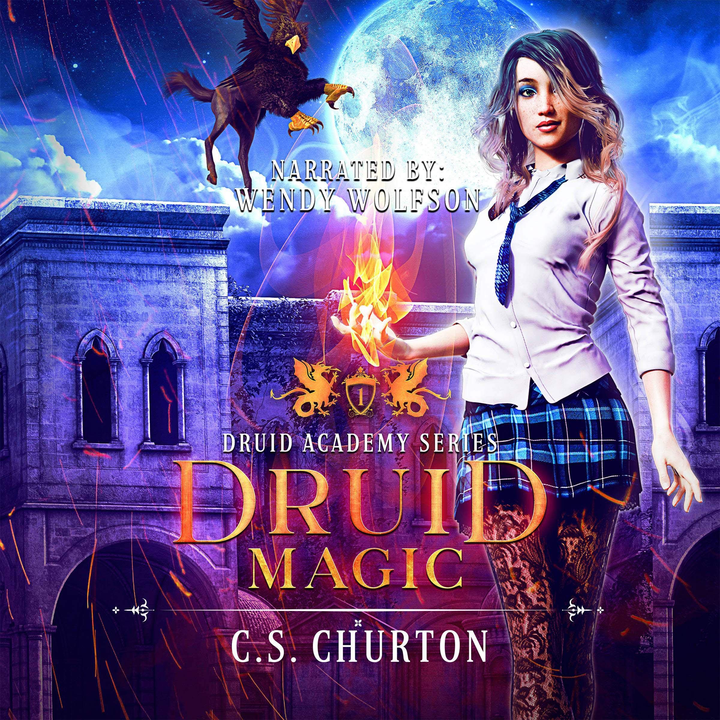 Druid Magic (Druid Academy Book 1) book cover