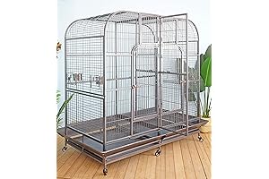 Extensive Double Cage with Central Divider for Birds, Parrots, and Aviary Enthusiasts (W64xD32xH73)