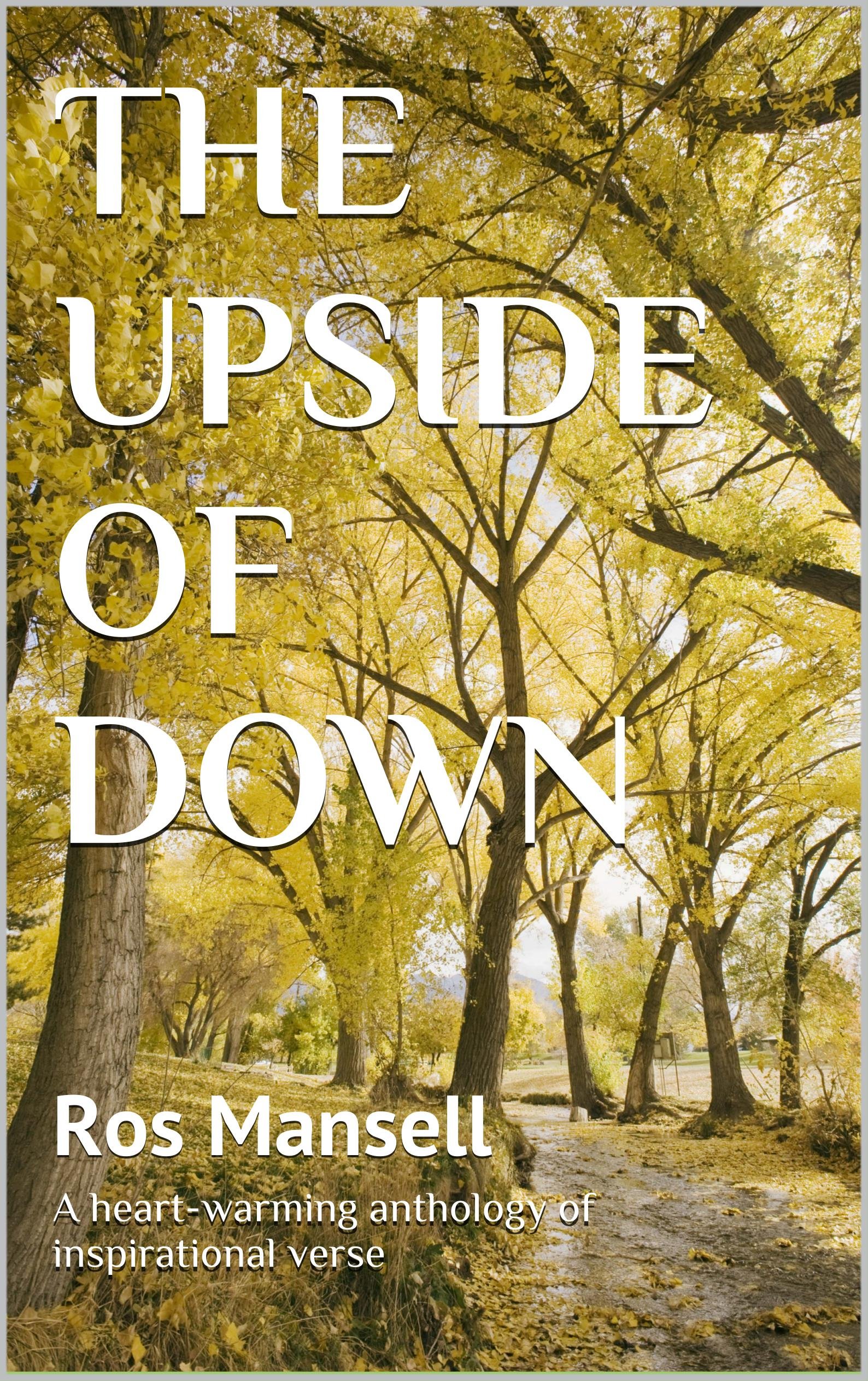 THE UPSIDE OF DOWN