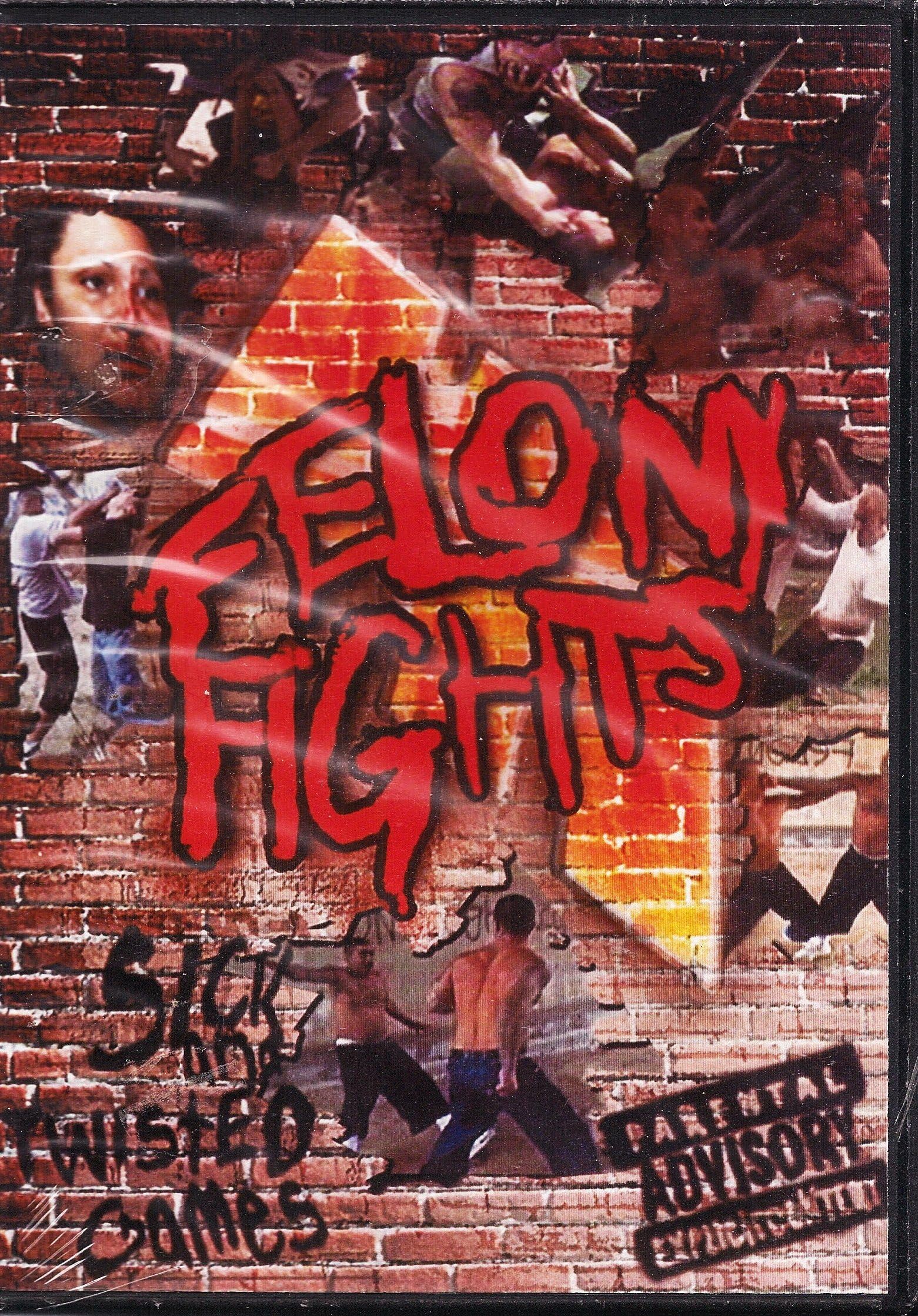 Felony Fights: Violent & Shocking