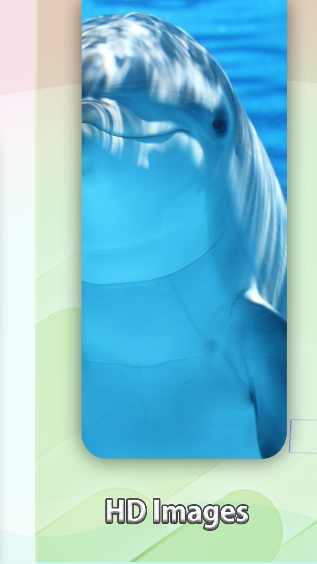 Aplicación Descargador de imágenes - Fotos e imágenes Full HD en Amazon