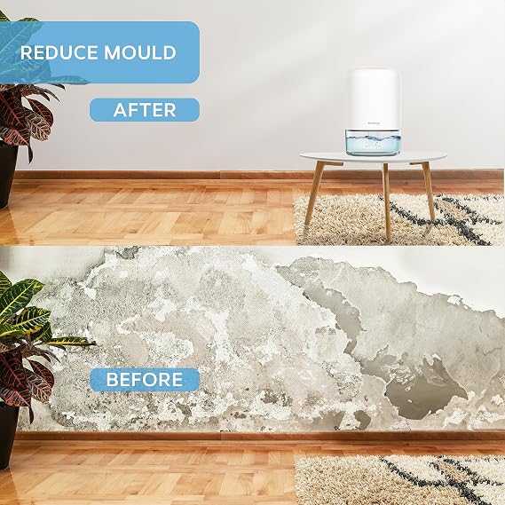 Portable Compact 1100ml Mini Dehumidifier - Electric Energy Efficient - Mould, Mildew, Damp & Condensation Remover for Home, Office, Garage - Super Quiet <30dB 7 LED Mood Lighting Colours